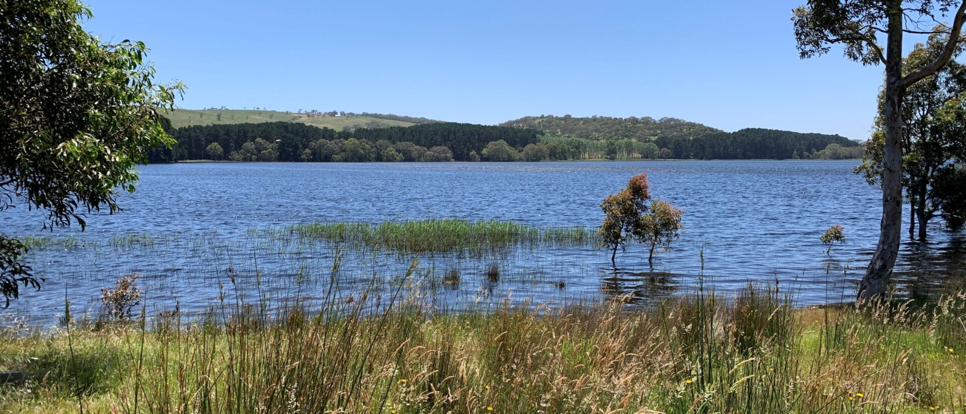 WGA NZ | Wallbridge Gilbert Aztec - Myponga Reservoir