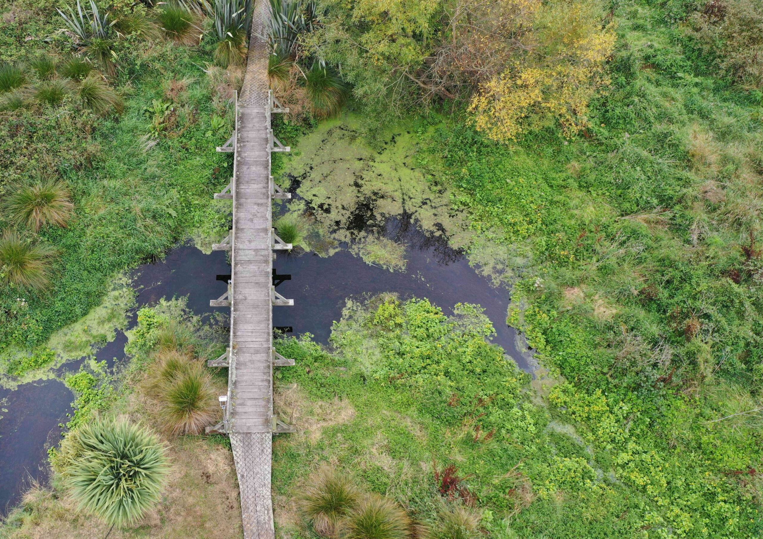 WGA NZ | Wallbridge Gilbert Aztec - Arowhenua Reserve, Hydrology, Freshwater Management, Flood Modelling